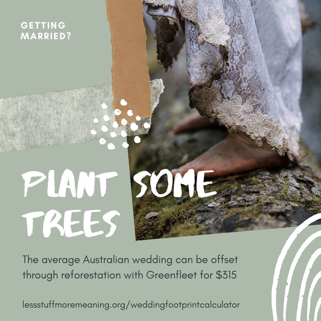 How to carbon offset my wedding with tree planting