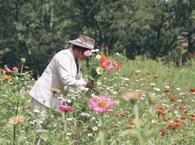 A bride picking flowers from the community garden to have as a bouquet on the way to her wedding