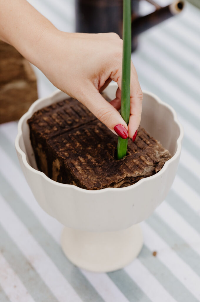 A hand is pushing a flower stem into the AgraWool Sideau sustainable floral foam alternative